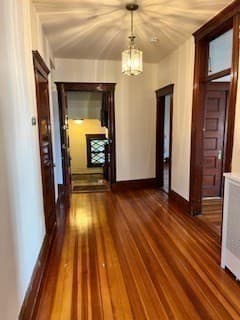 293 Cypress St, Brookline MA 02445 photo 22