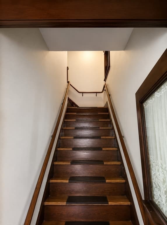 293 Cypress St, Brookline MA 02445 photo 24