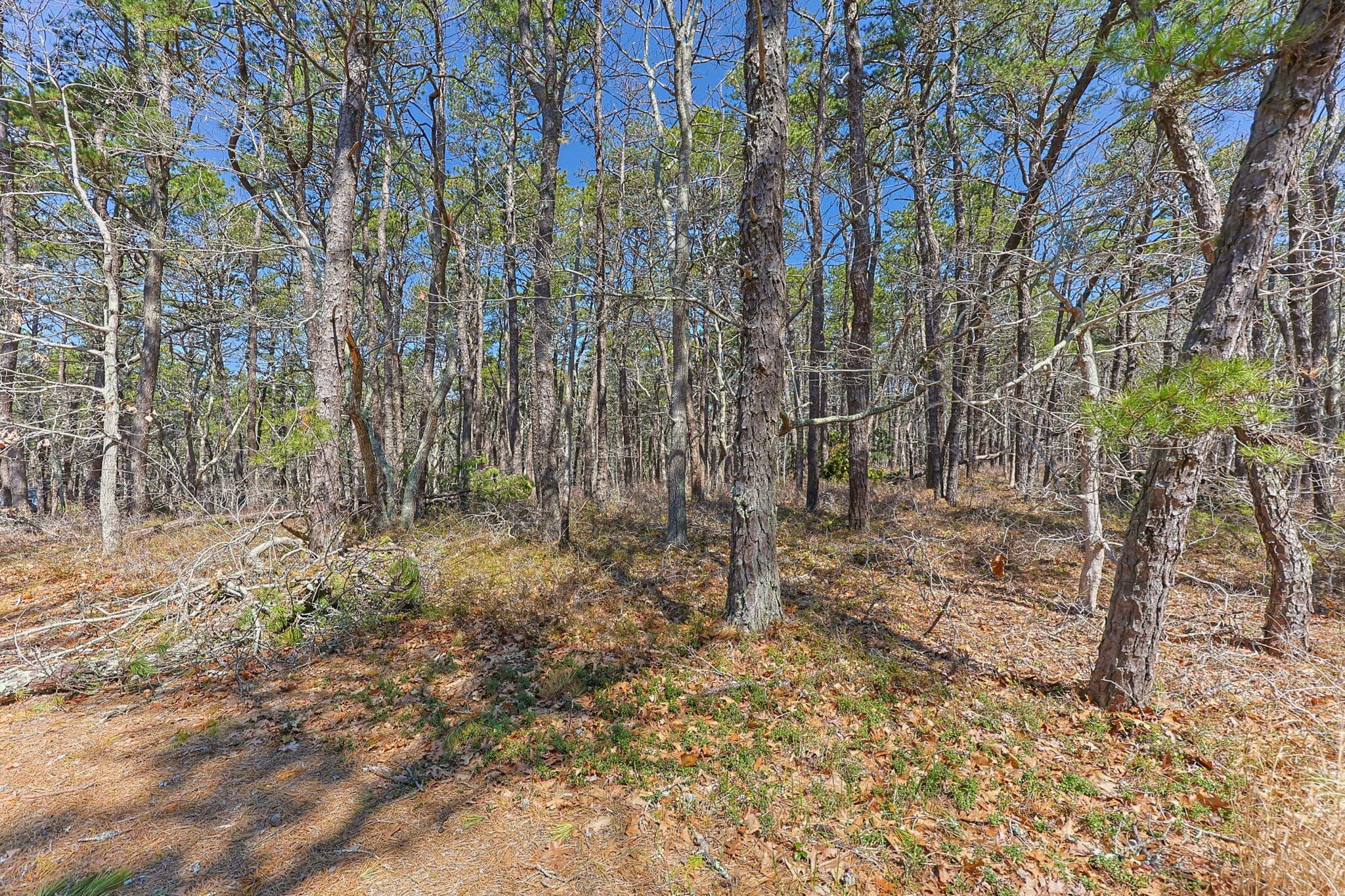 Residential at 175 Delphi Path, Wellfleet MA 02667, photo 2 of 33