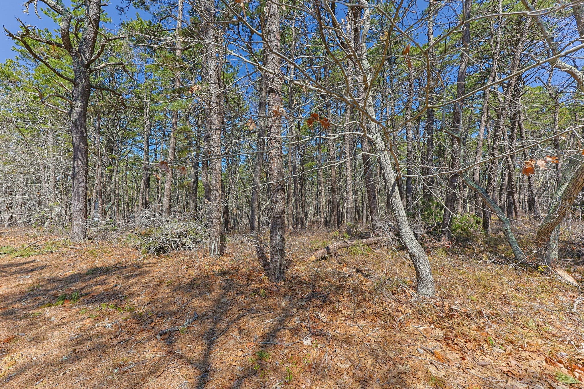 Residential at 175 Delphi Path, Wellfleet MA 02667, photo 3 of 33