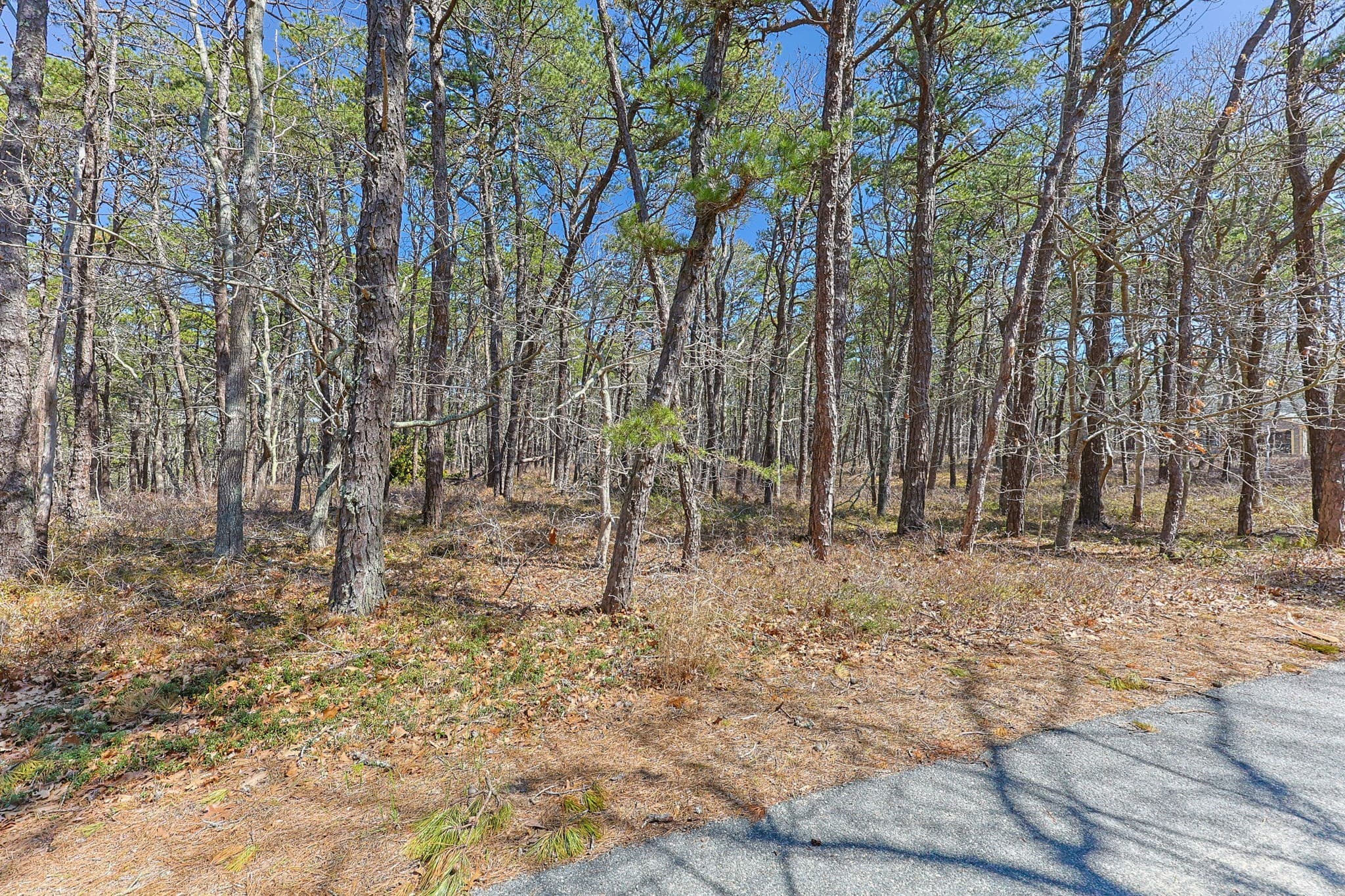 175 Delphi Path, Wellfleet MA 02667