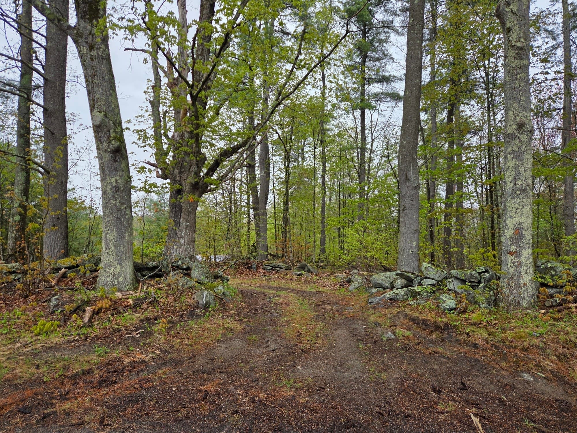 Lot 3F Petersham Road, Phillipston MA 01331