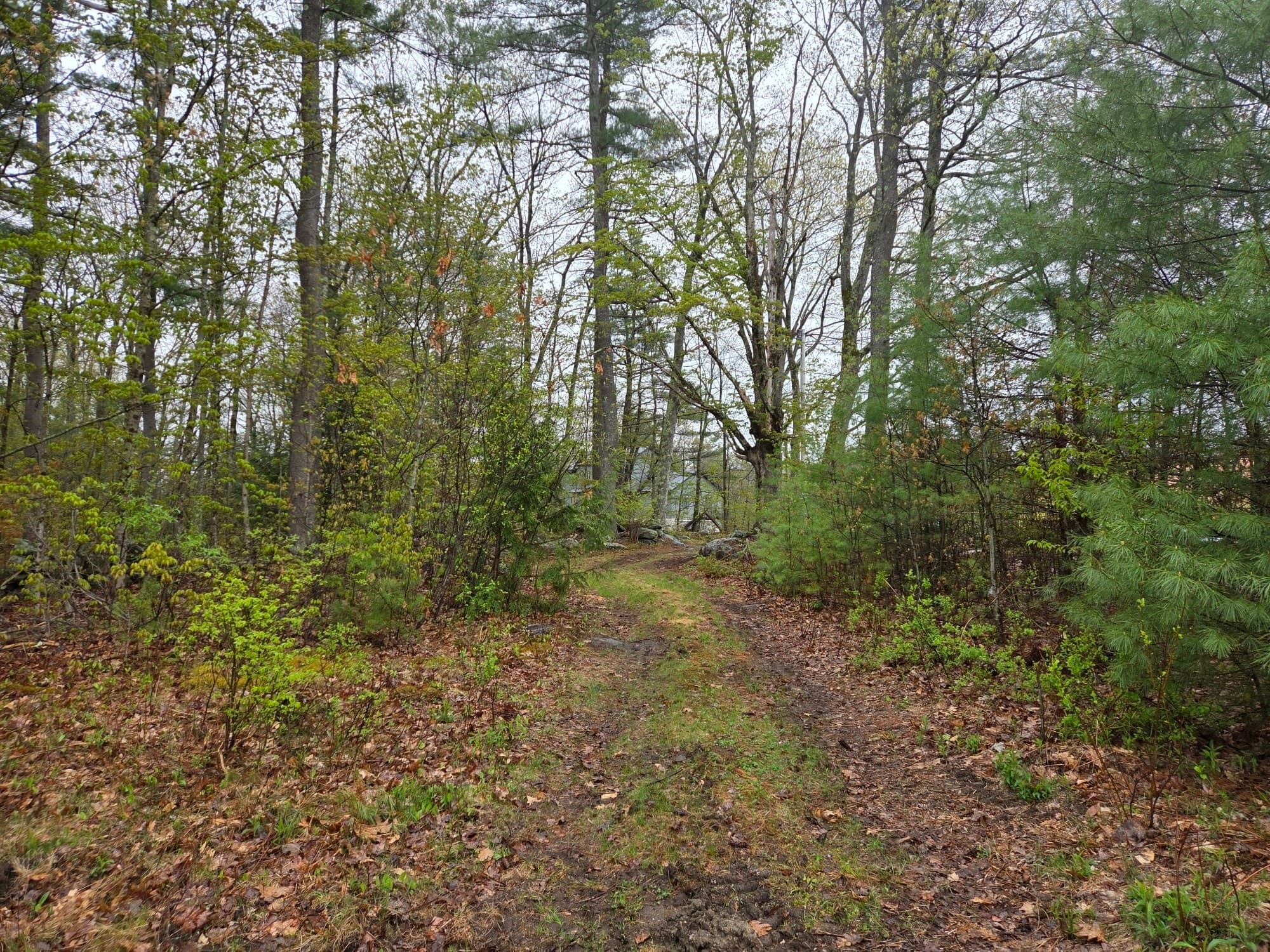 Residential at Lot 3F Petersham Road, Phillipston MA 01331, photo 4 of 4