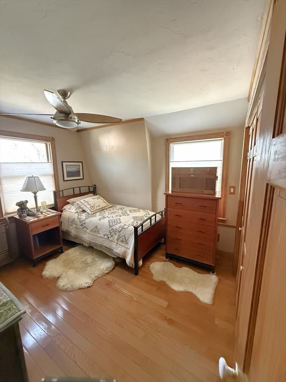 Single Family Residence at 16 Cotton Ave, Braintree MA 02184, photo 30 of 42