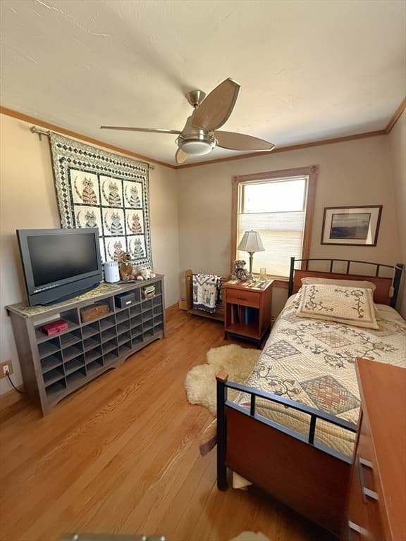 Single Family Residence at 16 Cotton Ave, Braintree MA 02184, photo 31 of 42