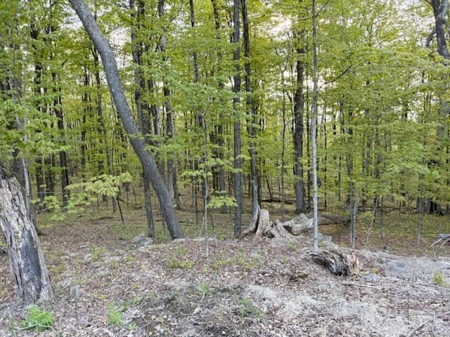 Residential at 0 North Main St, Petersham MA 01366, photo 2 of 2