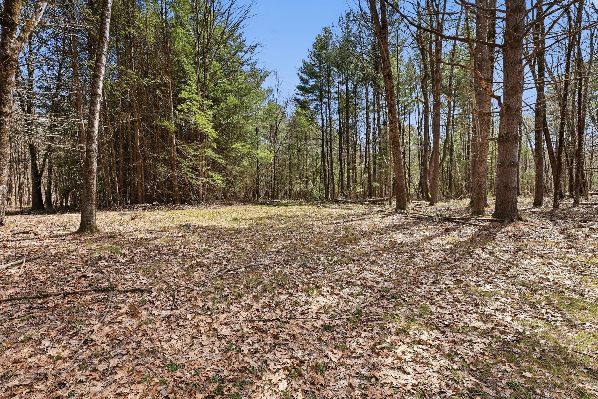 Residential at 0 Dry Hill Road, Montague MA 01351, photo 9 of 9