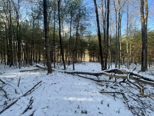 Residential at 51 Central Turnpike, Sutton MA 01590, photo 5 of 7