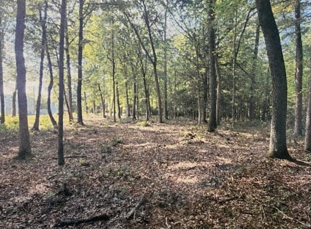 Residential at Lot 2 North Hatfield Rd., Hatfield MA 01038, photo 2 of 3