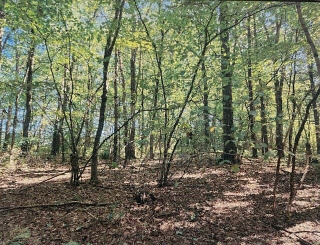 Residential at Lot 2 North Hatfield Rd., Hatfield MA 01038, photo 3 of 3