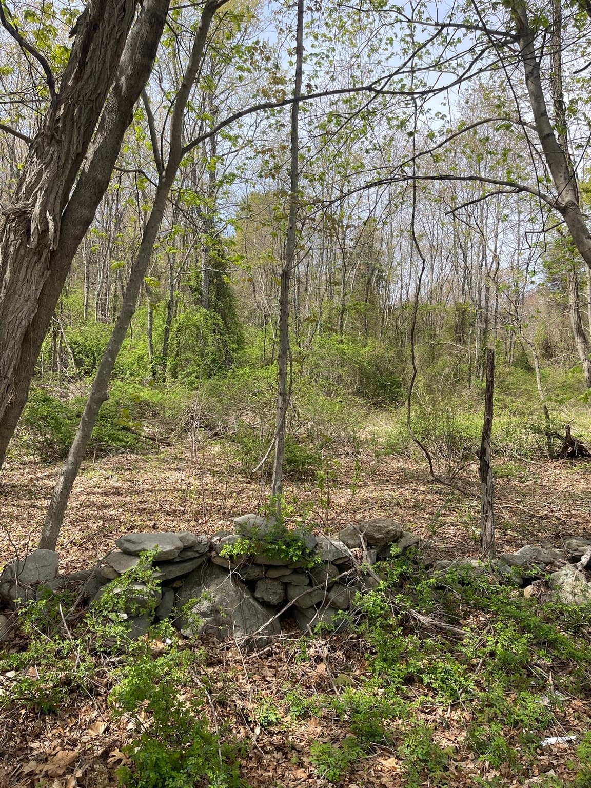 Agriculture at 2729/2734 Elm Street, Dighton MA 02715, Dighton, photo 13 of 16
