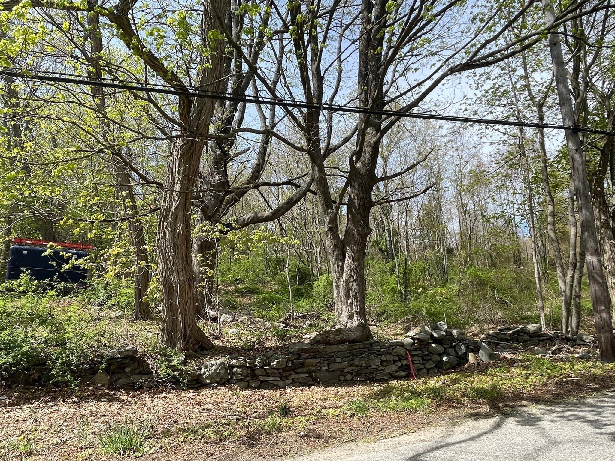 Agriculture at 2729/2734 Elm Street, Dighton MA 02715, Dighton, photo 9 of 16