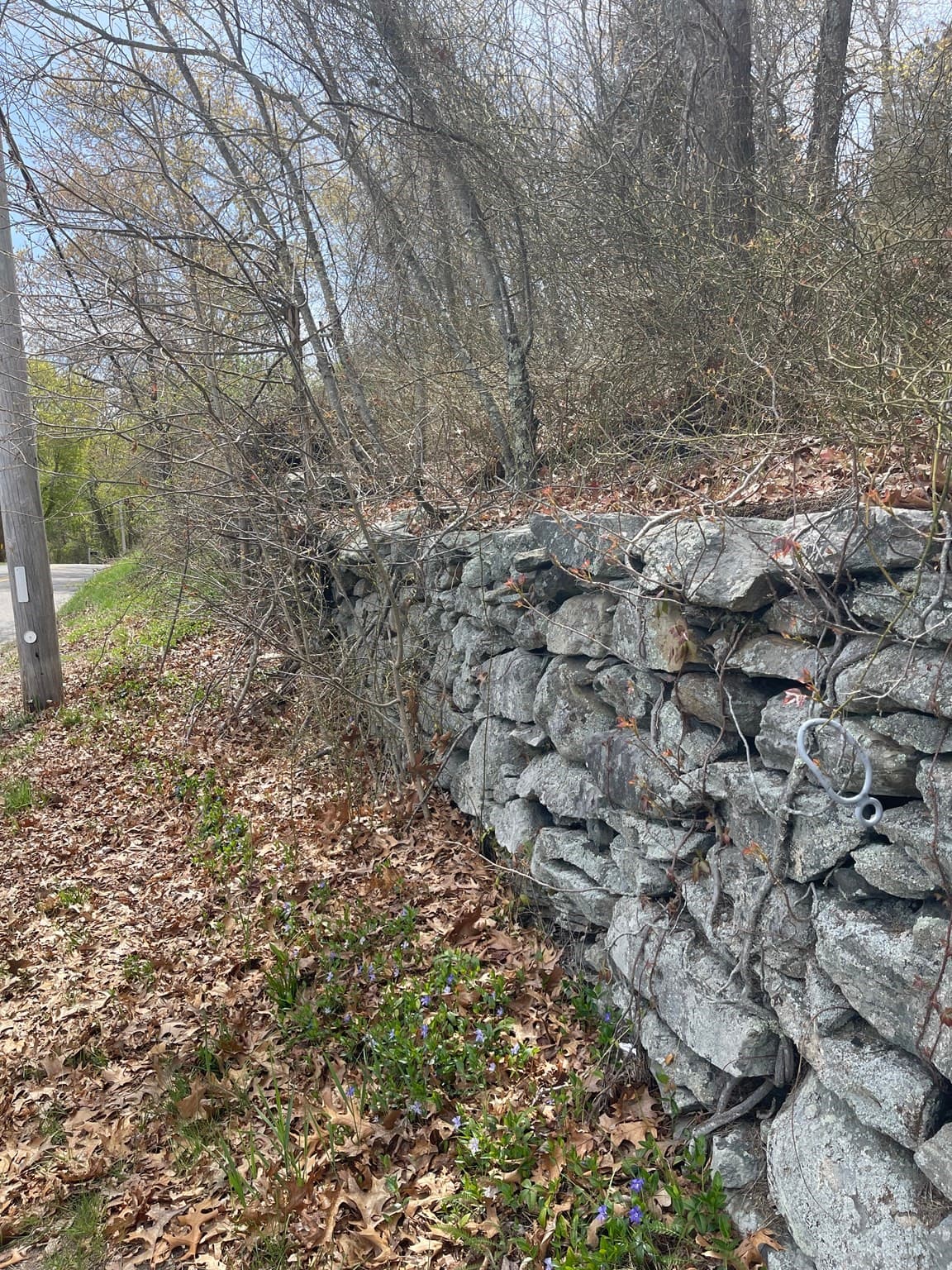 Agriculture at 2729/2734 Elm Street, Dighton MA 02715, Dighton, photo 10 of 16