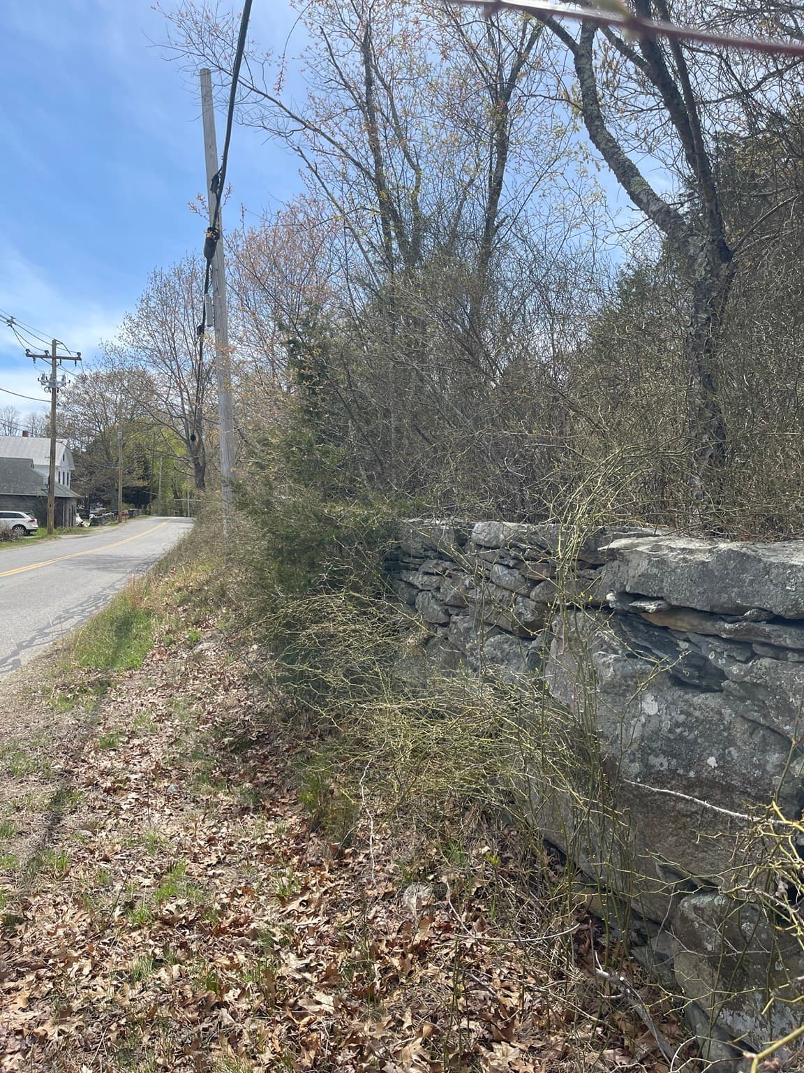 Agriculture at 2729/2734 Elm Street, Dighton MA 02715, Dighton, photo 15 of 16