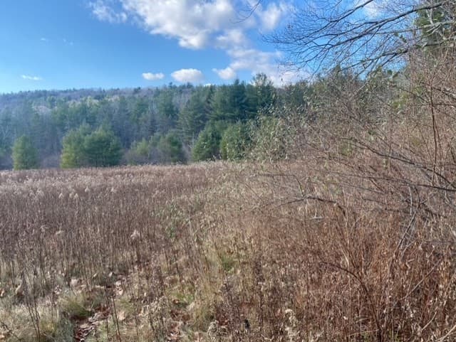 Residential at 0 E Alford Rd, West Stockbridge MA 01266, photo 4 of 5