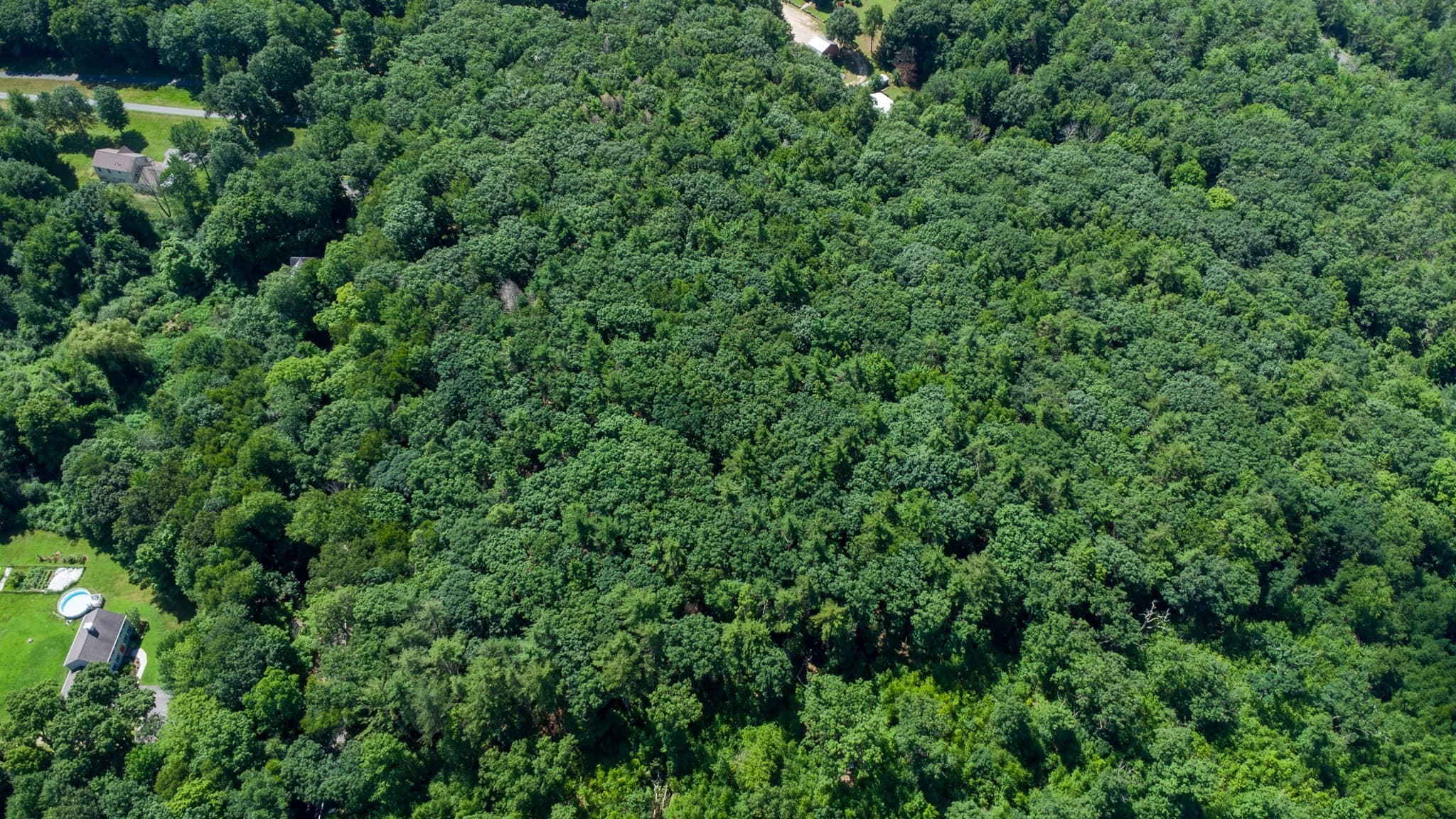 Land at 0 Walnut Hill Rd, Orange MA 01364, photo 11 of 12
