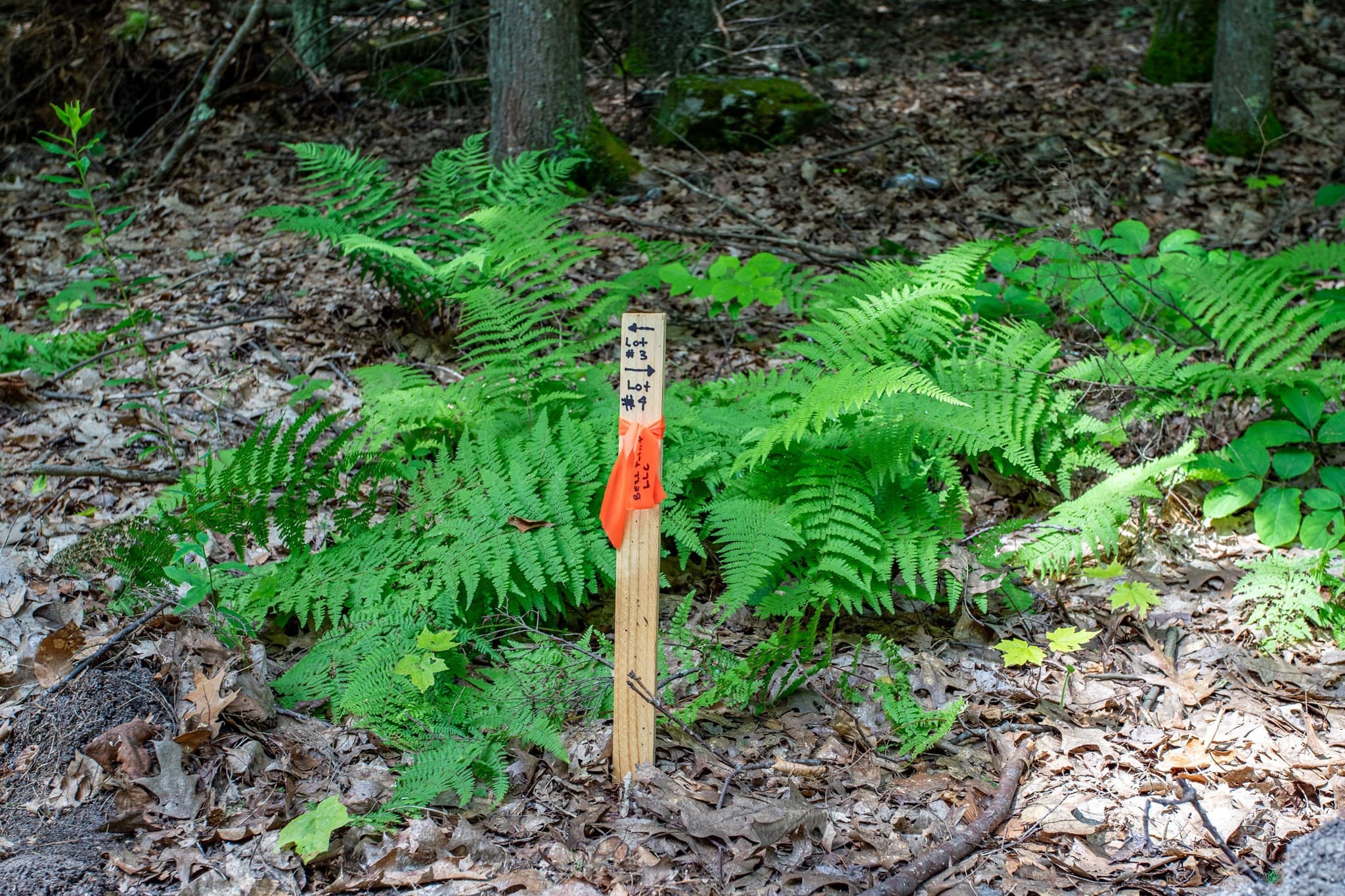 Land at 0 Walnut Hill Rd, Orange MA 01364, photo 4 of 12