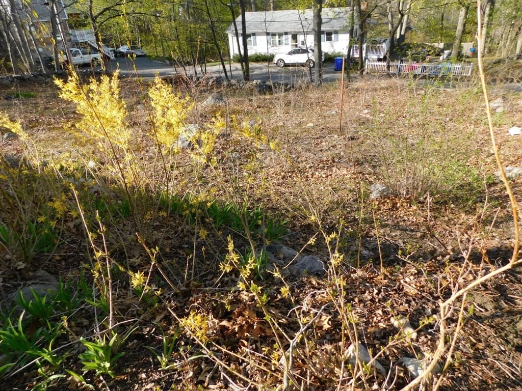 Single Family Residence at 22 Vernon St, Boston MA 02136, photo 17 of 25
