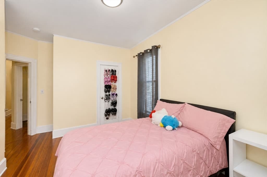 3 Family at 45 Msgr Patrick J Lydon Way, Boston MA 02124, Boston, photo 6 of 29