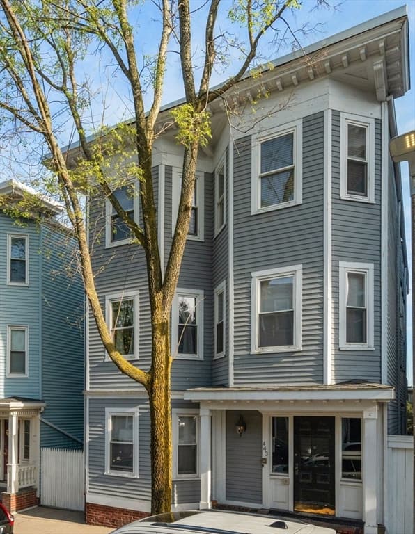 Condominium at 443 E 7th # 3, Boston MA 02127, Boston, photo 17 of 17