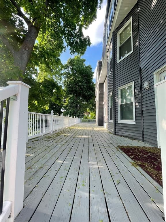 15 Forestdale Rd, Worcester MA 01604 photo 5