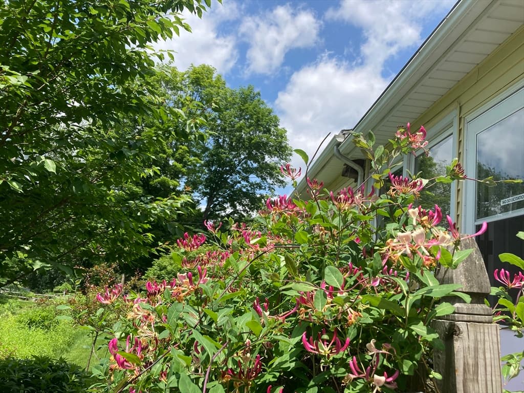 Single Family Residence at 16 Saybrook Cir, South Hadley MA 01075, photo 32 of 32
