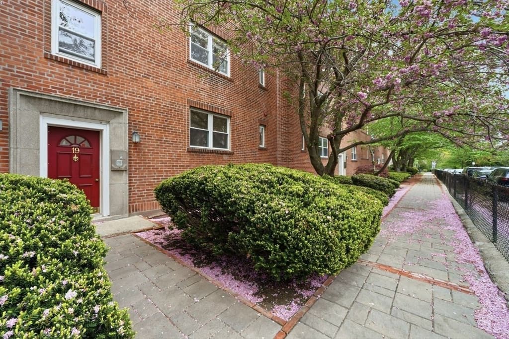 19 Alton Court # 2, Brookline MA 02446 photo 21
