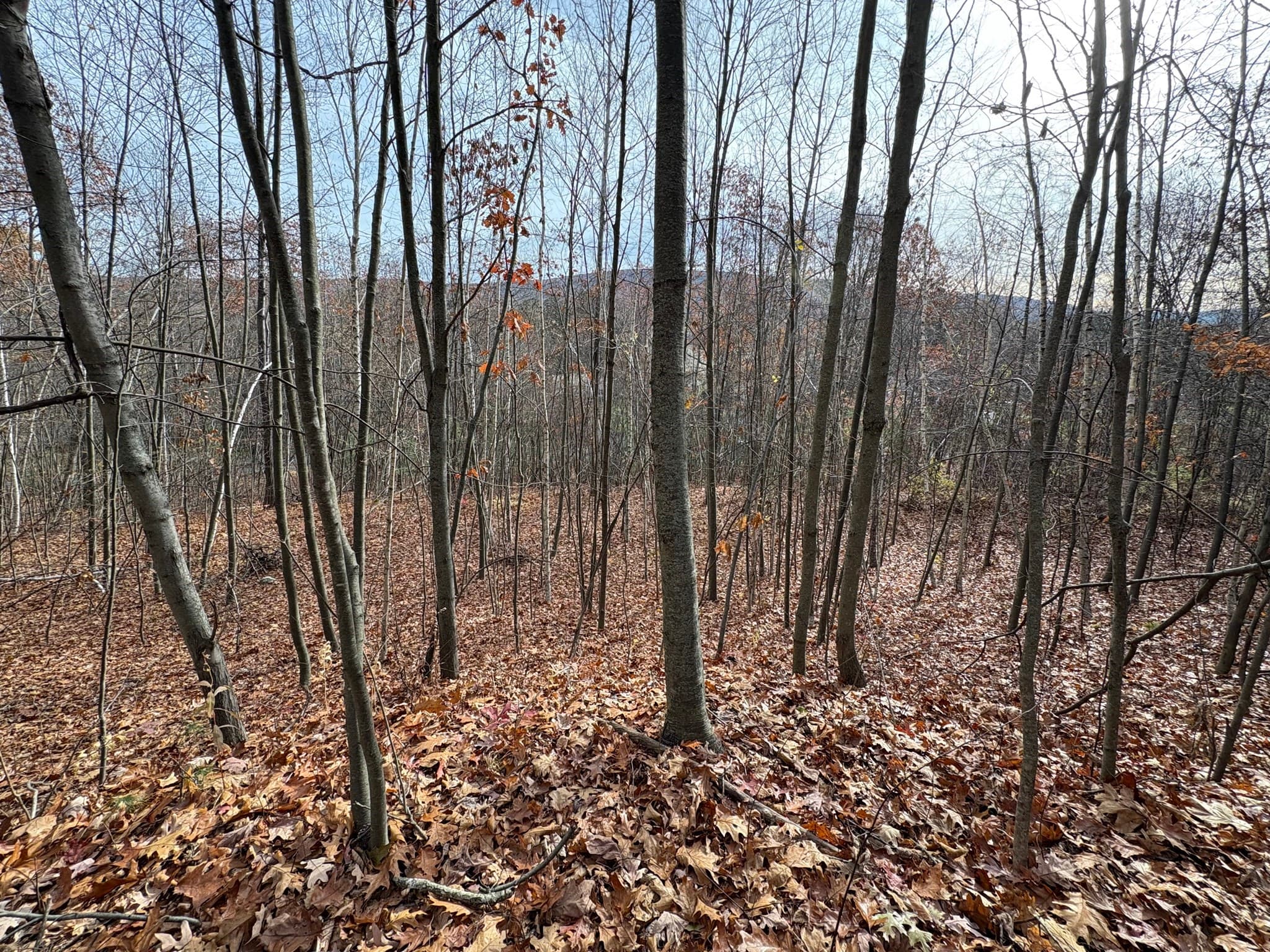 Residential at TBD Lower Road, Deerfield MA 01342, photo 7 of 8