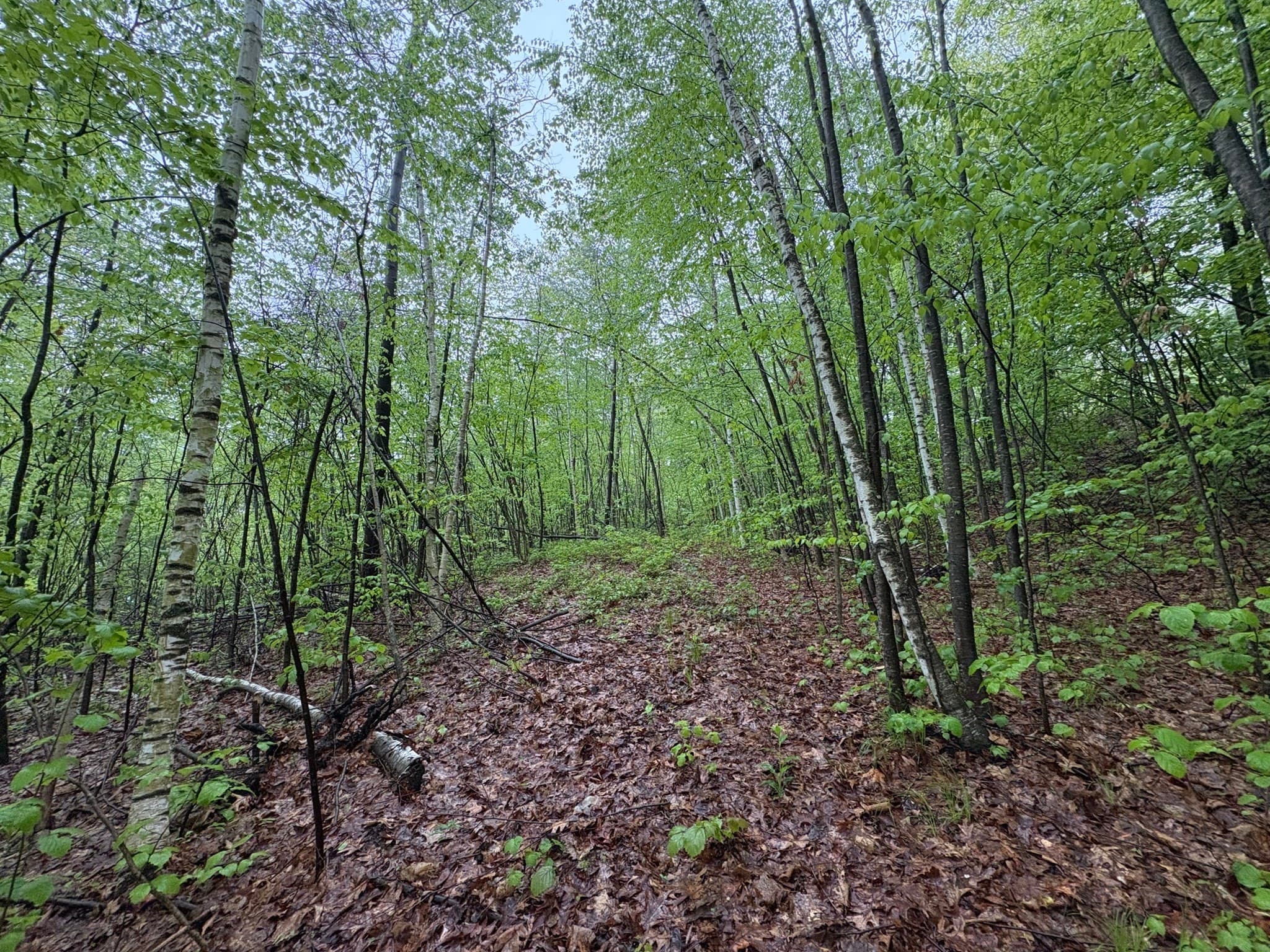 TBD Lower Road, Deerfield MA 01342
