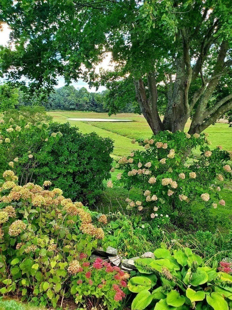 Single Family Residence at 78 Cotuit Rd, Sandwich MA 02563, photo 40 of 42