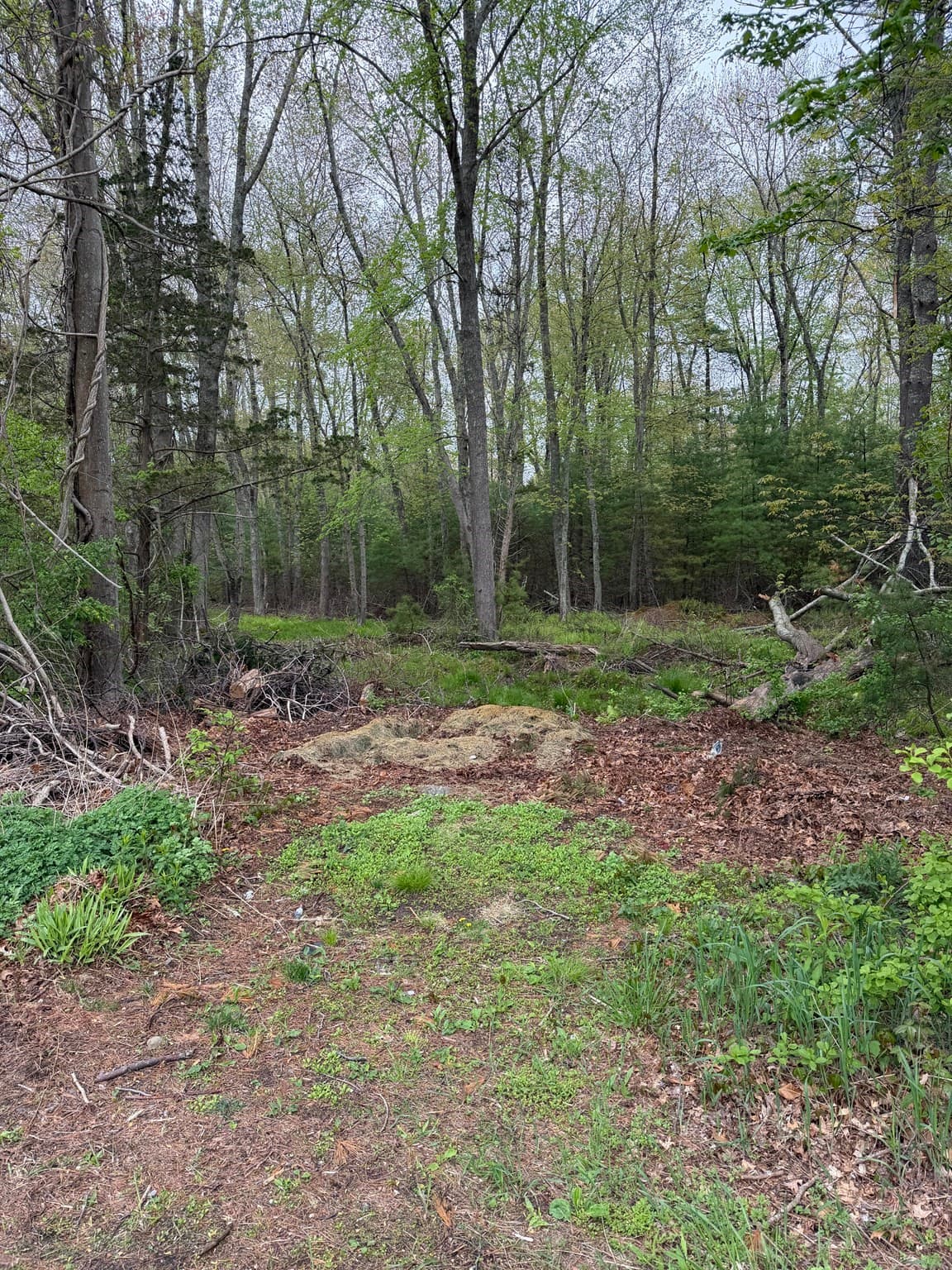 0 Harvey Street, Taunton MA 02780