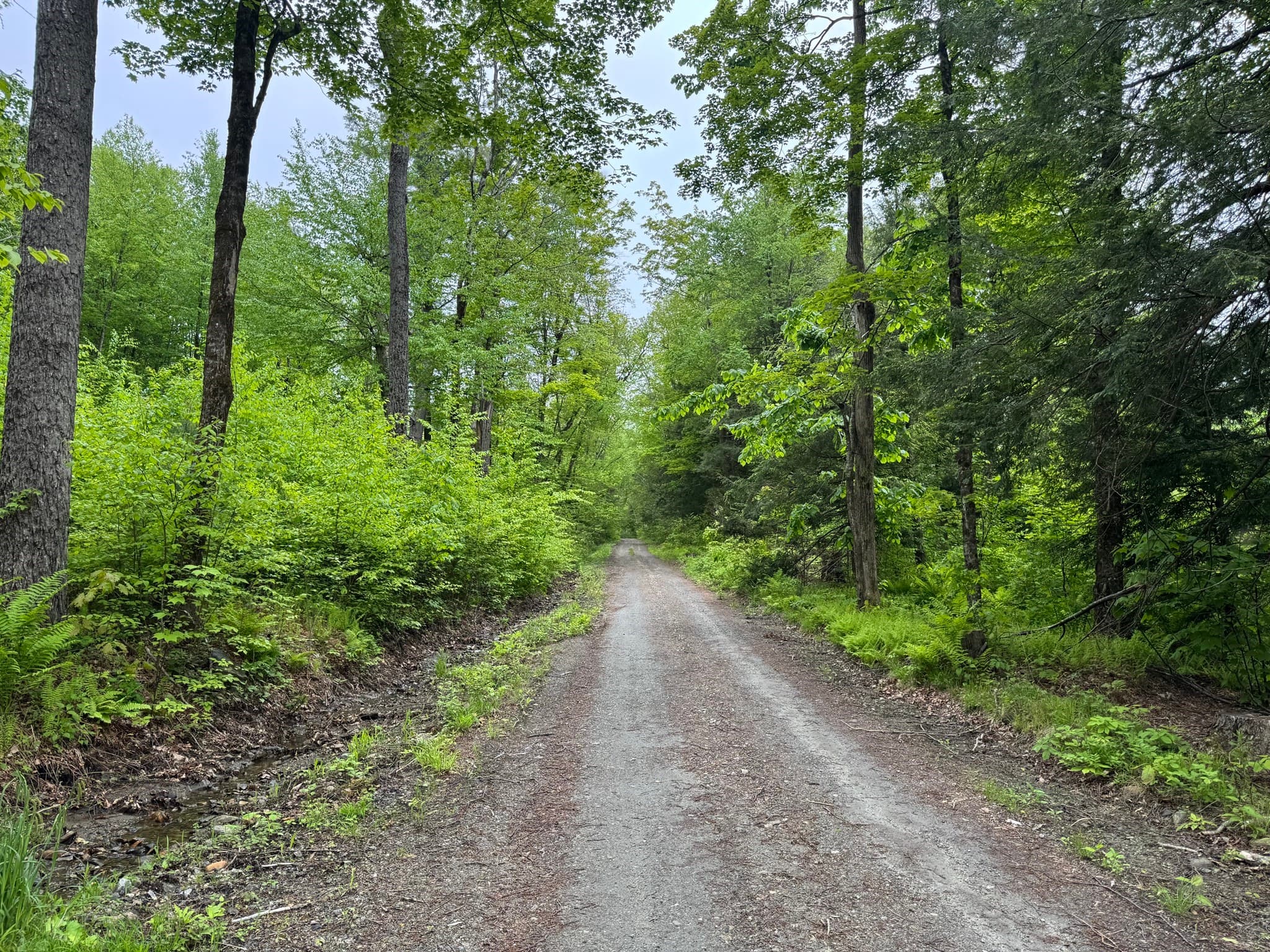 Residential at Lot "B" Beulah Land Rd, Blandford MA 01008, photo 6 of 17