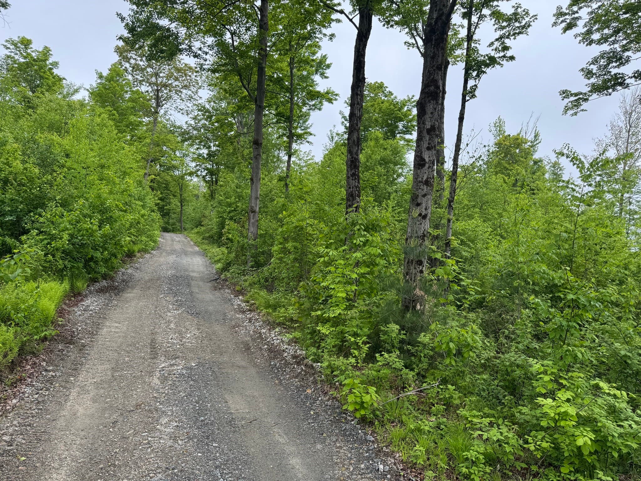Residential at Lot "B" Beulah Land Rd, Blandford MA 01008, photo 13 of 17