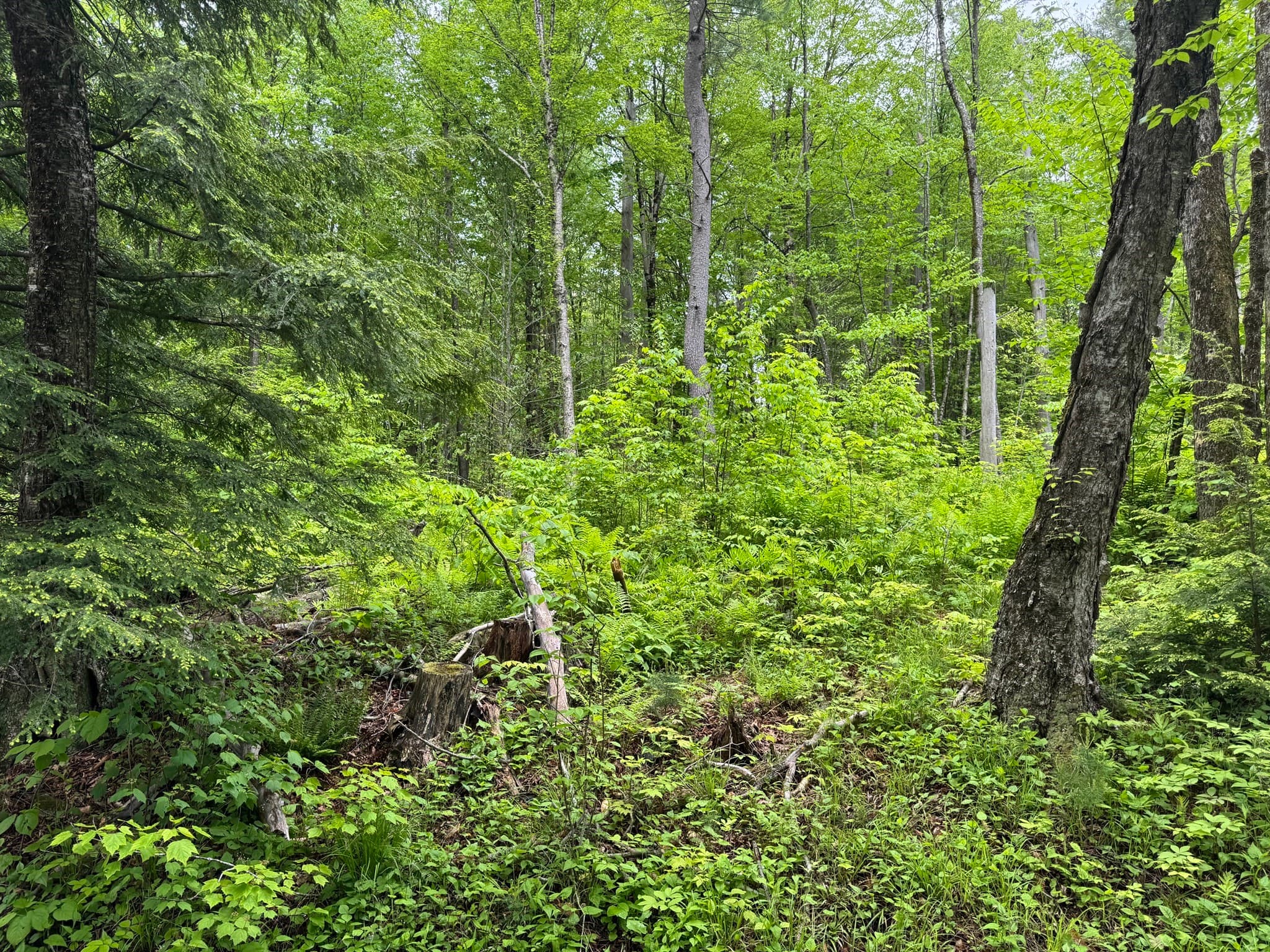 Residential at Lot "B" Beulah Land Rd, Blandford MA 01008, photo 7 of 17