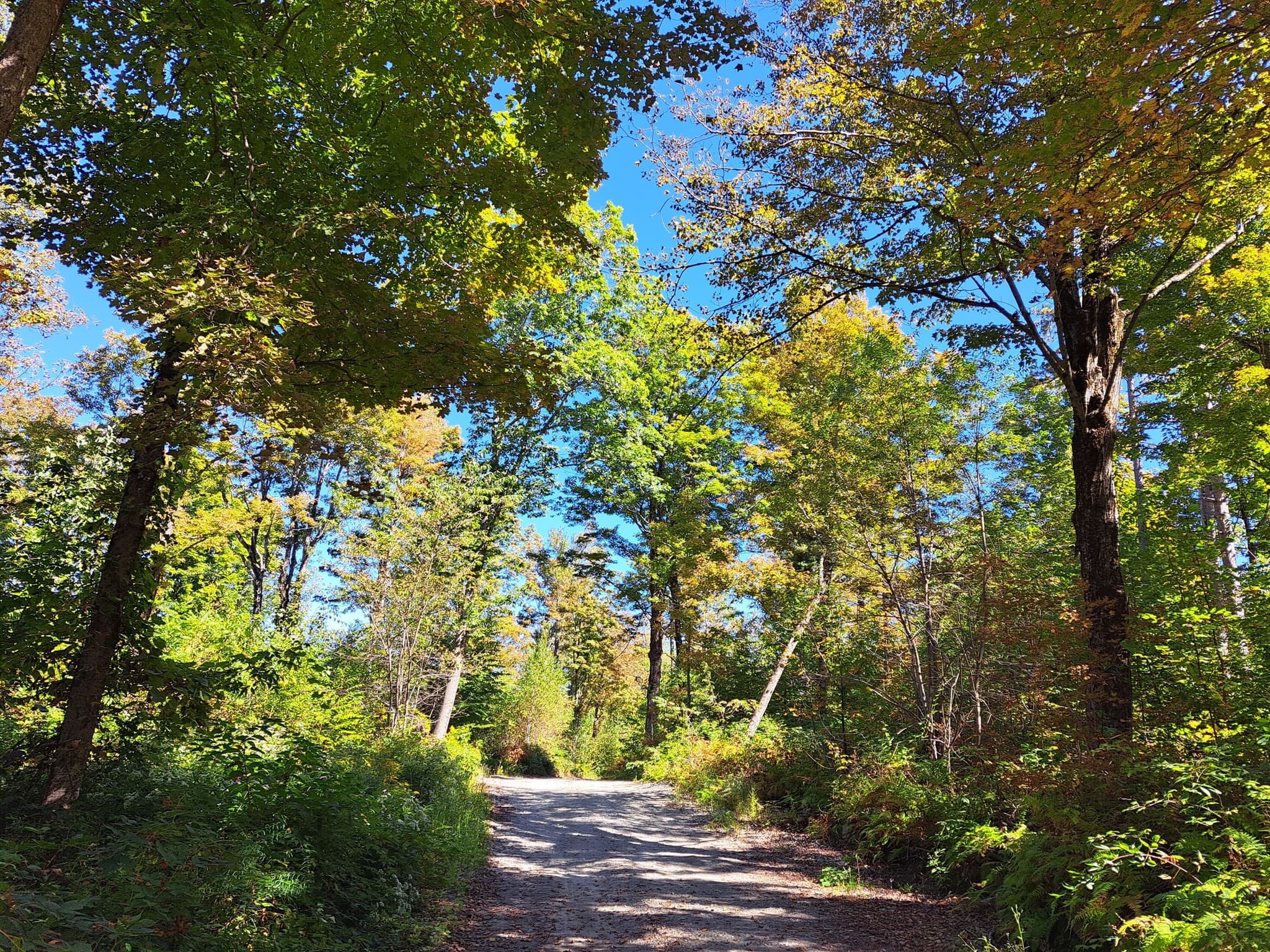 Residential at Lot "B" Beulah Land Rd, Blandford MA 01008, photo 3 of 17