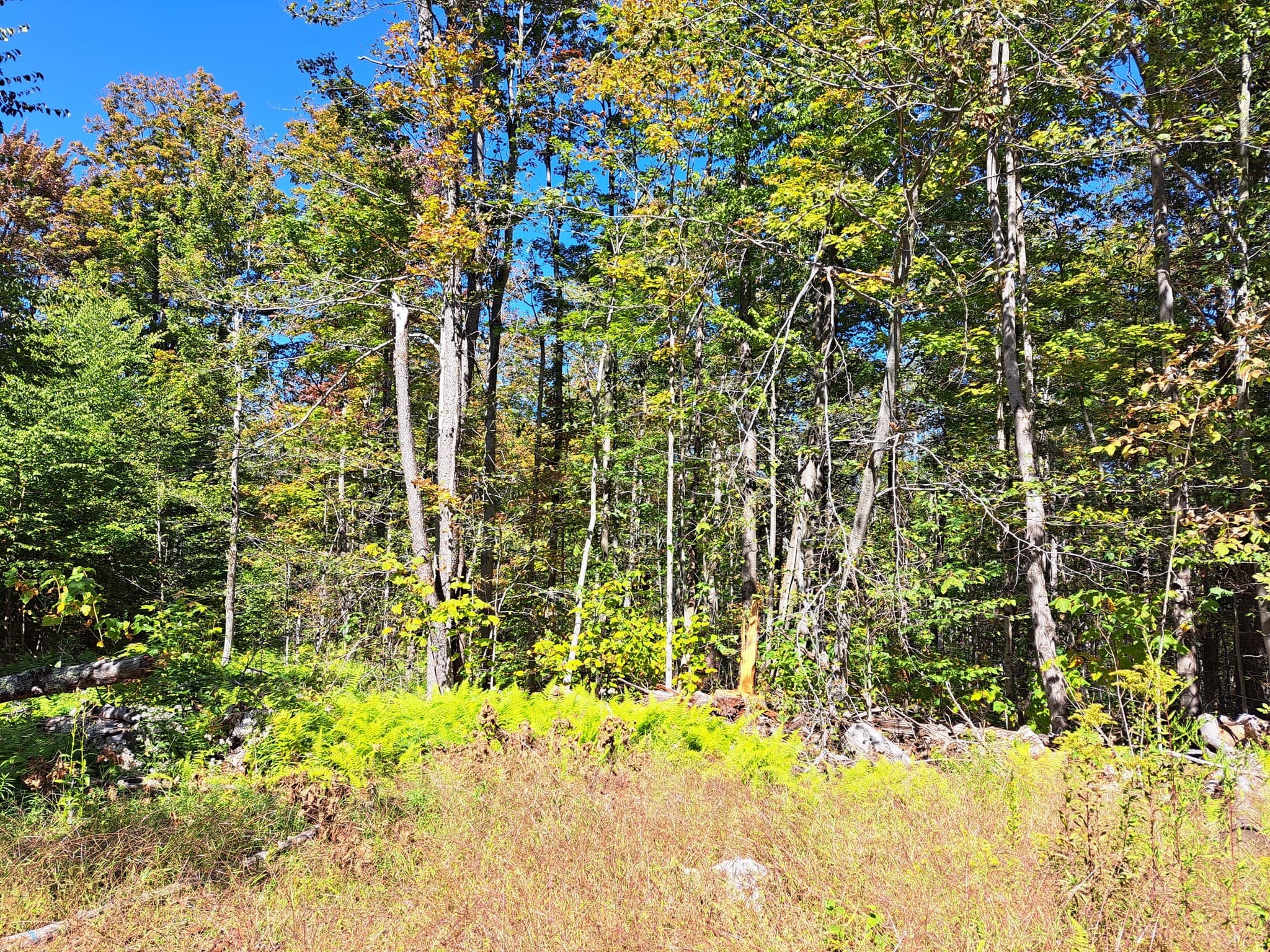 Lot "B" Beulah Land Rd, Blandford MA 01008