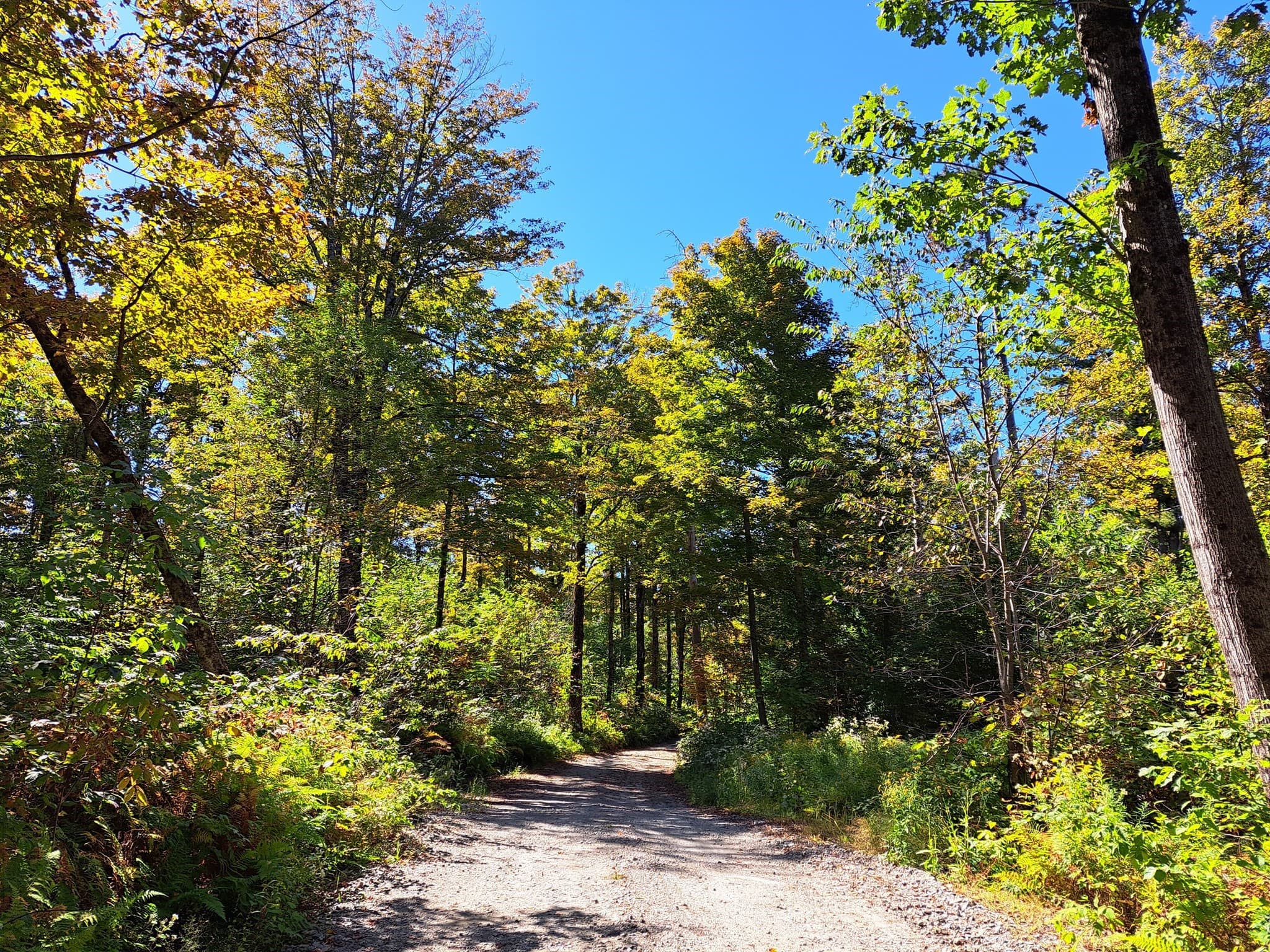 Residential at Lot "B" Beulah Land Rd, Blandford MA 01008, photo 5 of 17