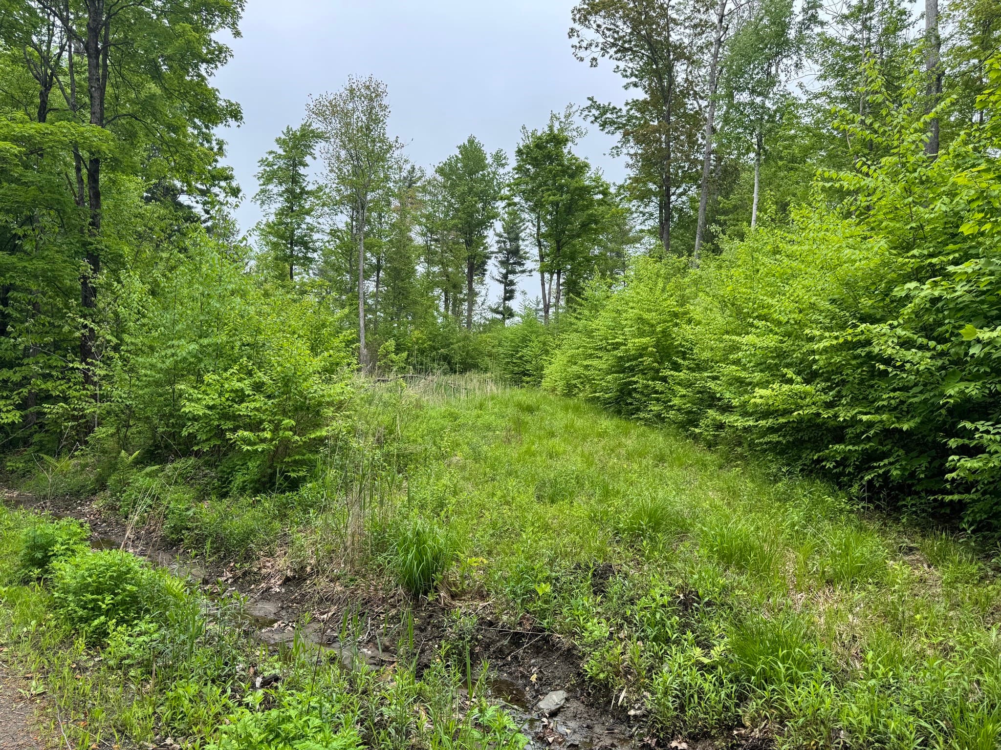 Residential at Lot "B" Beulah Land Rd, Blandford MA 01008, photo 9 of 17