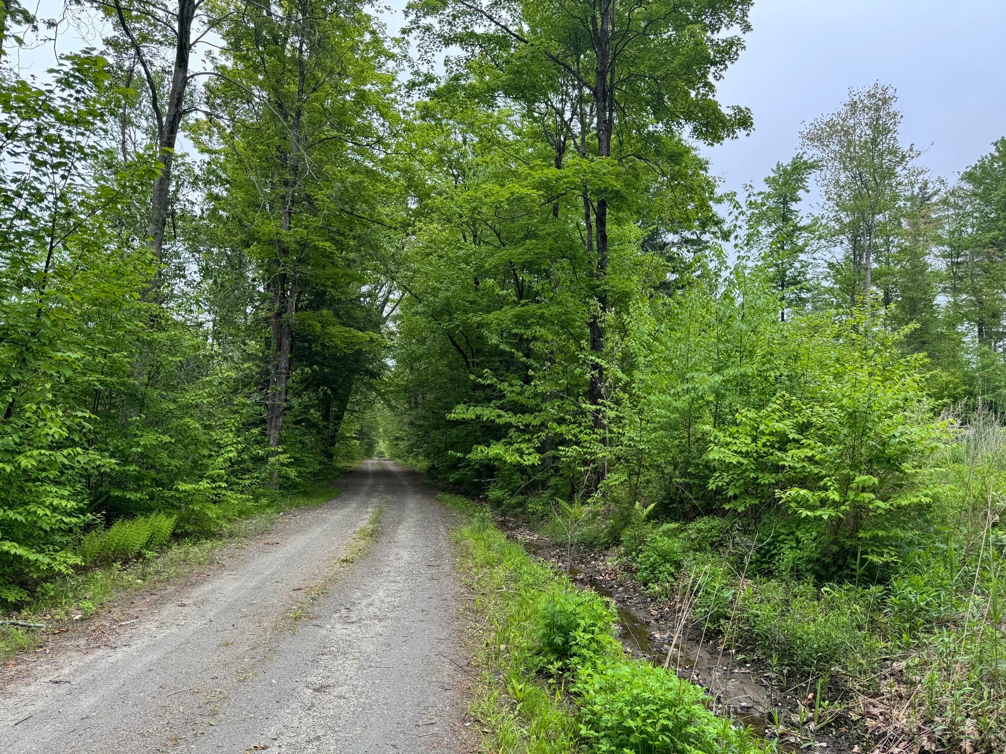Residential at Lot "B" Beulah Land Rd, Blandford MA 01008, photo 10 of 17