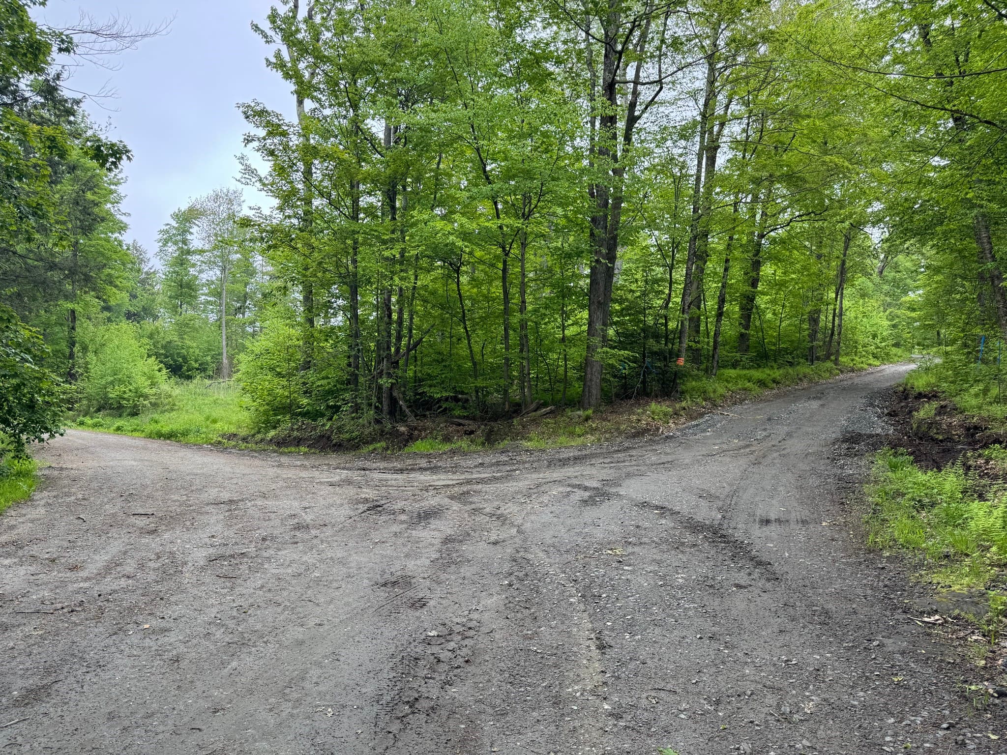 Residential at Lot "B" Beulah Land Rd, Blandford MA 01008, photo 14 of 17