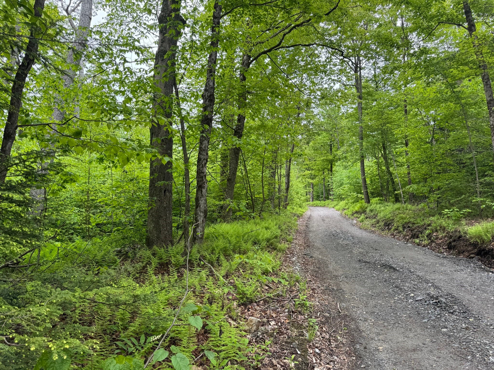 Residential at Lot "B" Beulah Land Rd, Blandford MA 01008, photo 11 of 17
