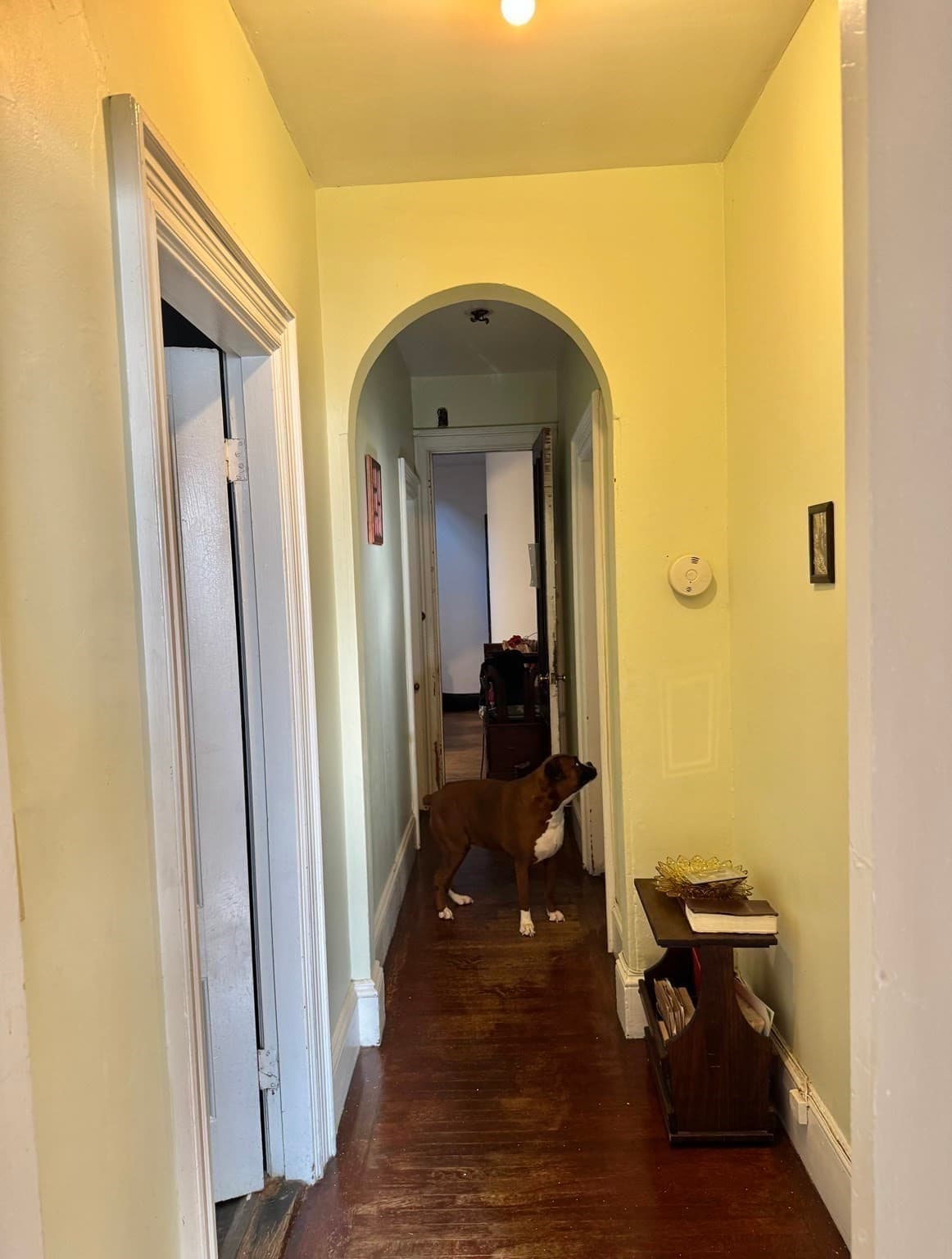 3 Family - 3 Units Up/Down at 495 Warren St., Boston MA 02121, photo 19 of 25