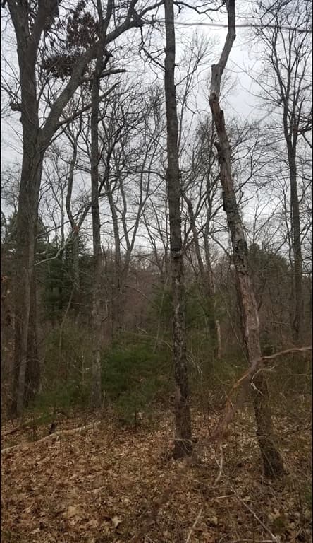 222 Dolan Circle, Taunton MA 02718 photo 16