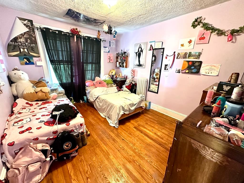107 Dorset St, Springfield MA 01108 photo 13