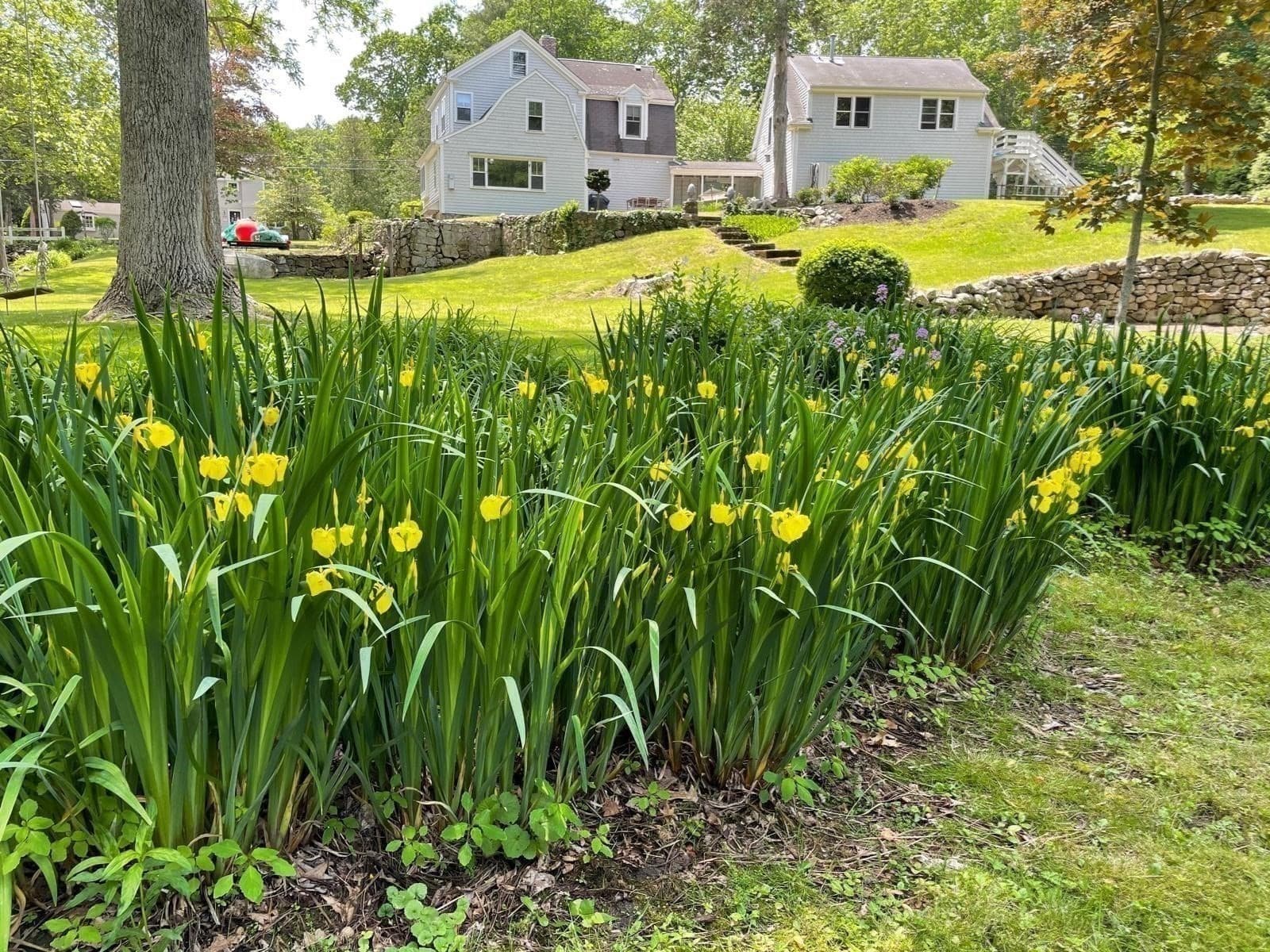 Single Family Residence at 684 Country Way, Scituate MA 02066, photo 4 of 40