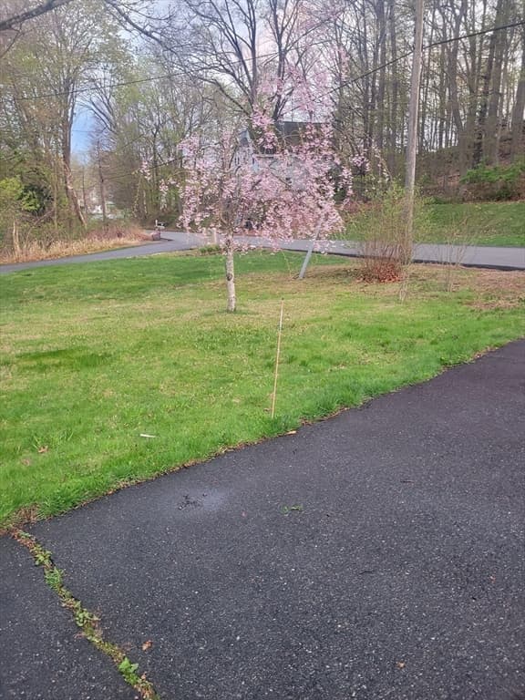 41 Linwood St, Haverhill MA 01830 photo 12