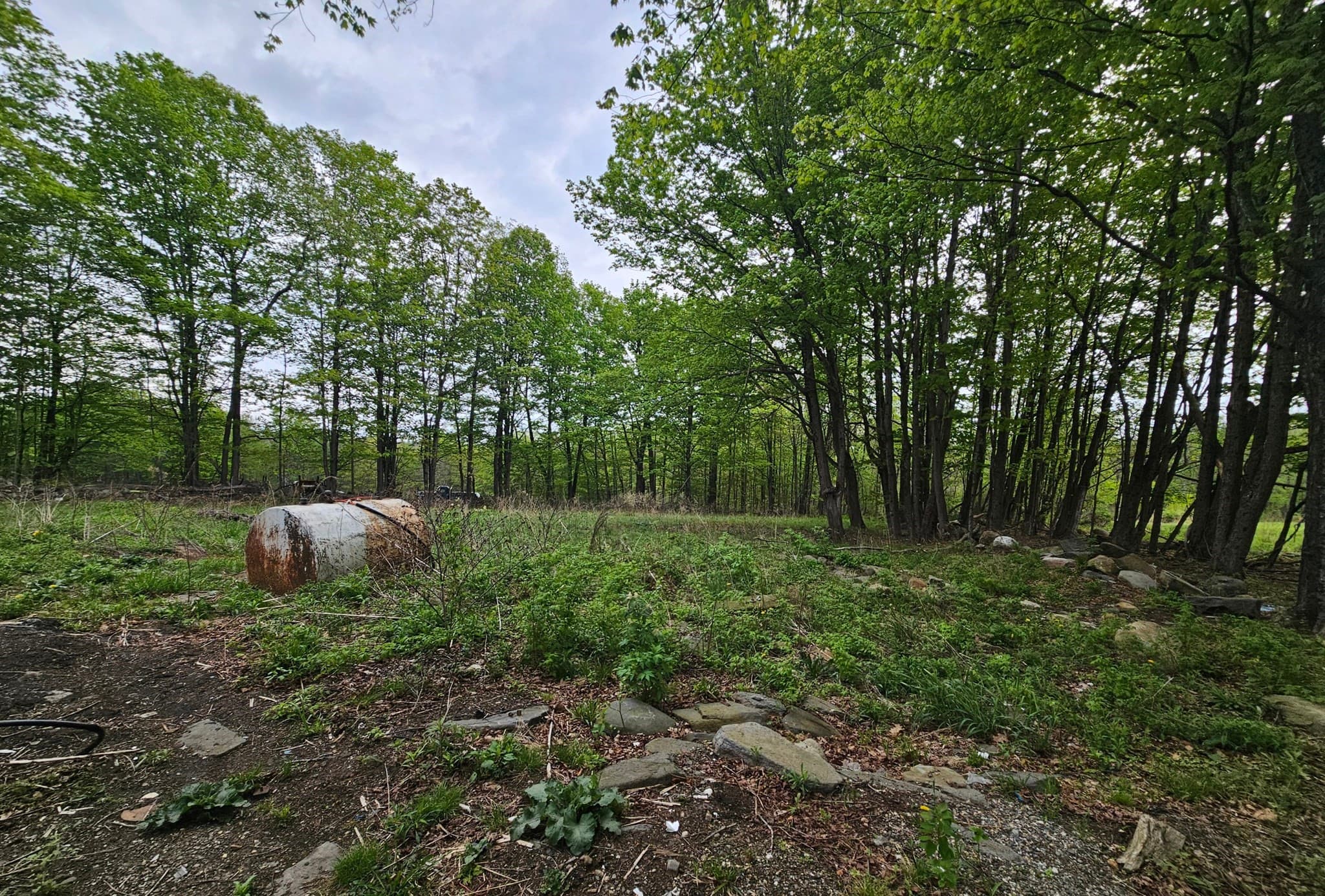 Single Family Residence at 1 Crane Rd, Chester MA 01011, Chester, photo 4 of 12