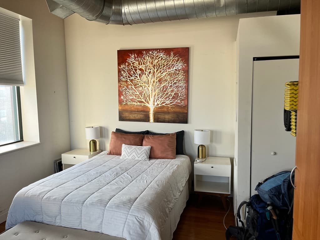 Condominium at 60 Dudley # 25, Chelsea MA 02150, Chelsea, photo 5 of 9