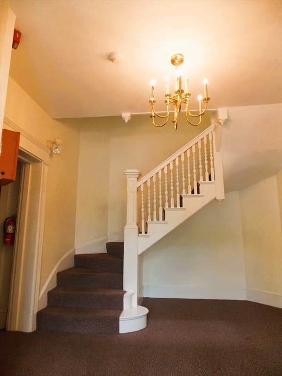 514 Harvard Street # 2D, Brookline MA 02446 photo 7