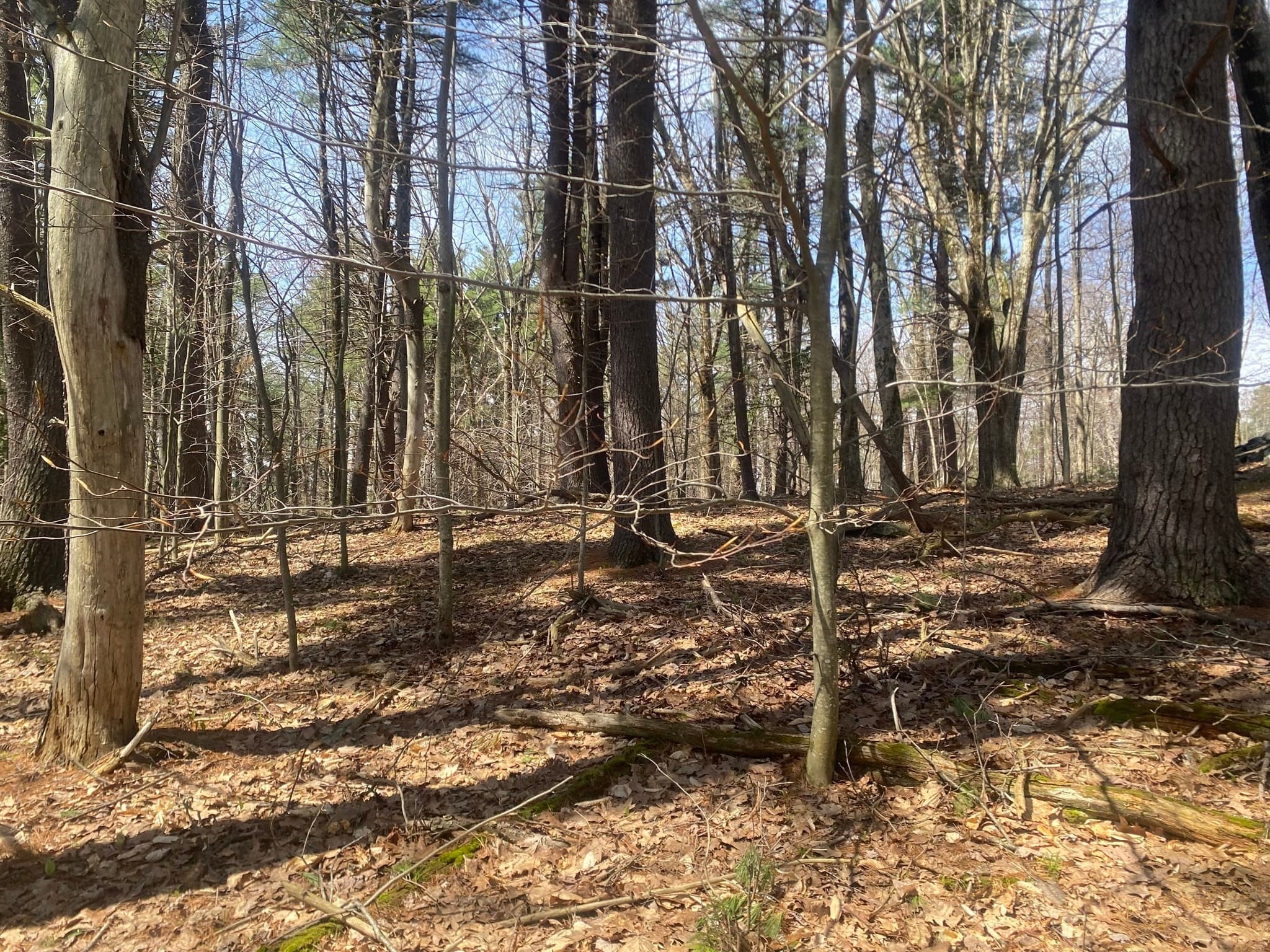 Residential at 22 Newcomb Rd Lot 1, Westminster MA 01473, photo 6 of 12
